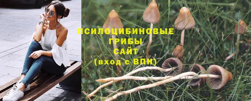 Галлюциногенные грибы Magic Shrooms  MEGA рабочий сайт  Уссурийск 